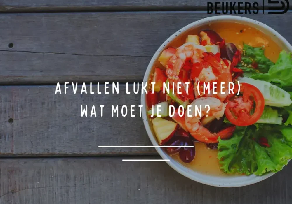 6419c70b87ad275af9e11ef1_afvallen-lukt-niet