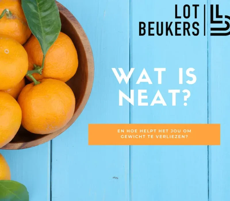 64391cbef05e13e774d58840_Wat-is-neat