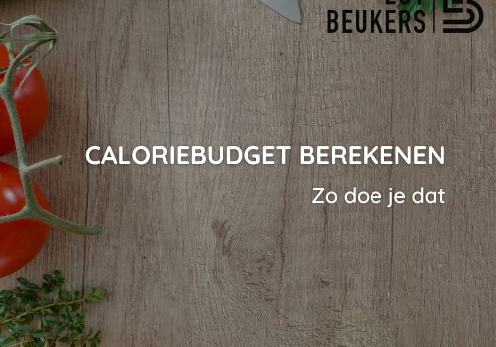 64ddd1baaab7bb7449d0a2ff_Caloriebudget-berekeken