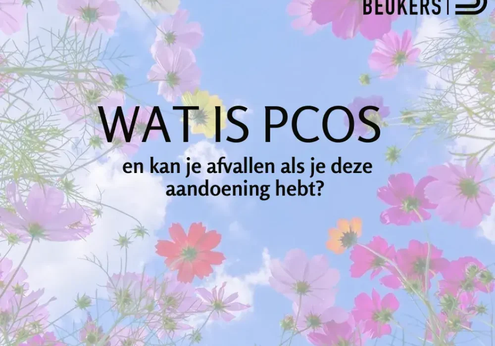 64e88b2e8de048b224aef197_wat-is-pcos-afvallen
