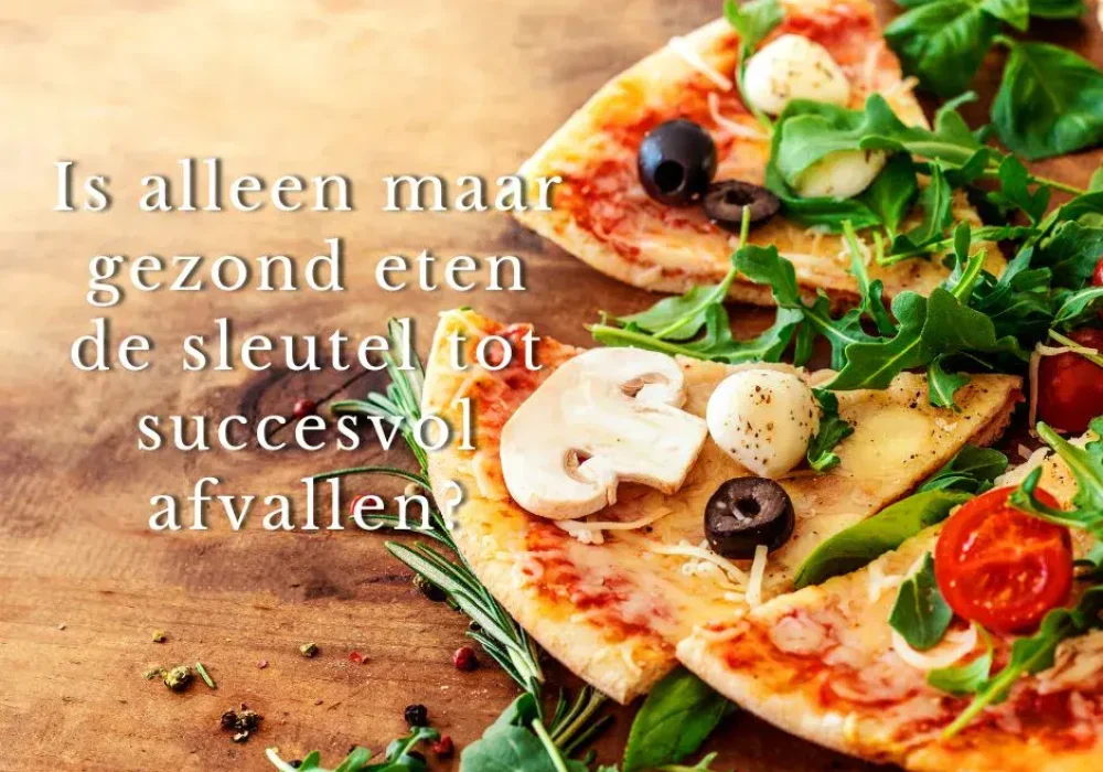 662233fde9fc492ca8816160_alleen-maar-gezond-eten-afvallen