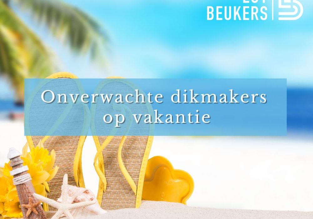 669f5220fe58bd3ec6cd4fc3_dikmakers-op-vakantie