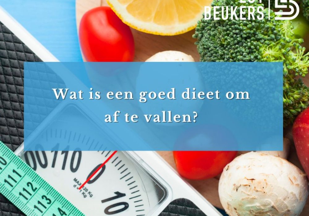 671b95400c3c38851ed28dff_goed-dieet-om-af-te-vallen