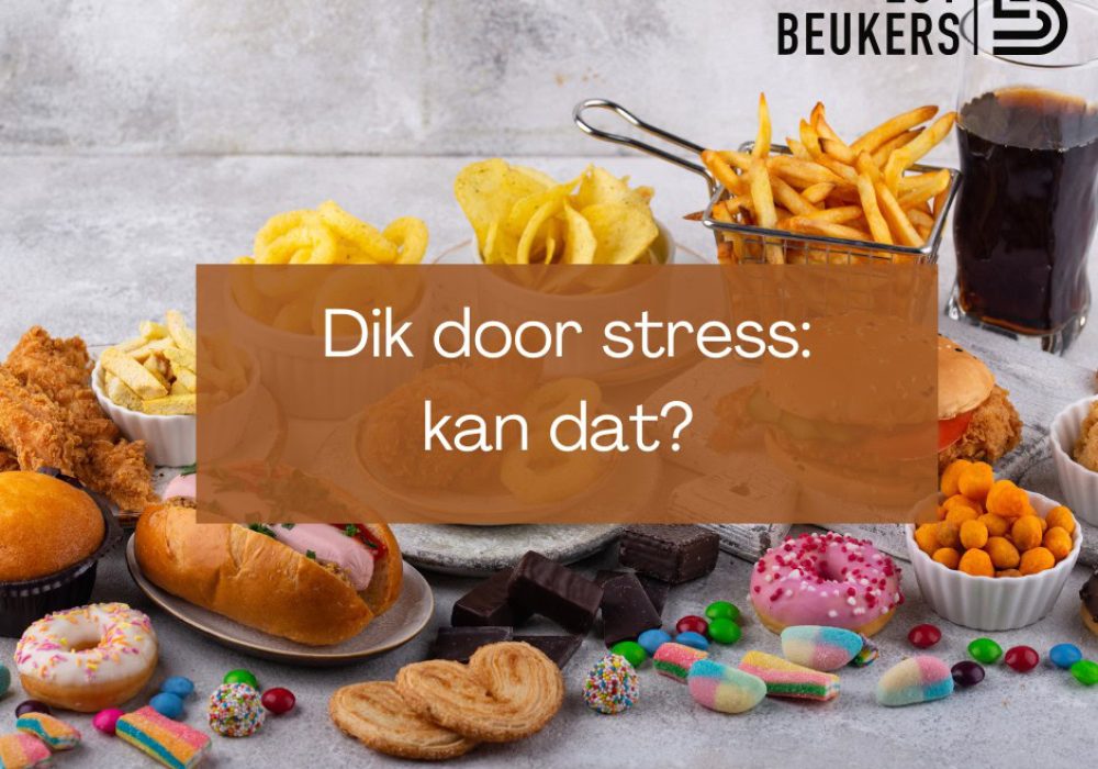 6788dde2ce6da9fe16cfebbe_dik-door-stress