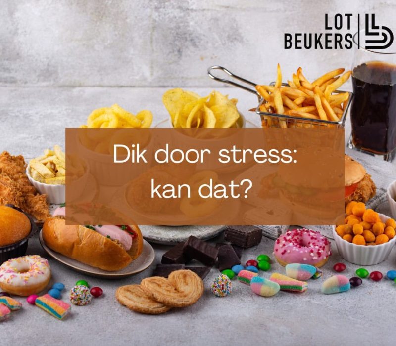 6788dde2ce6da9fe16cfebbe_dik-door-stress