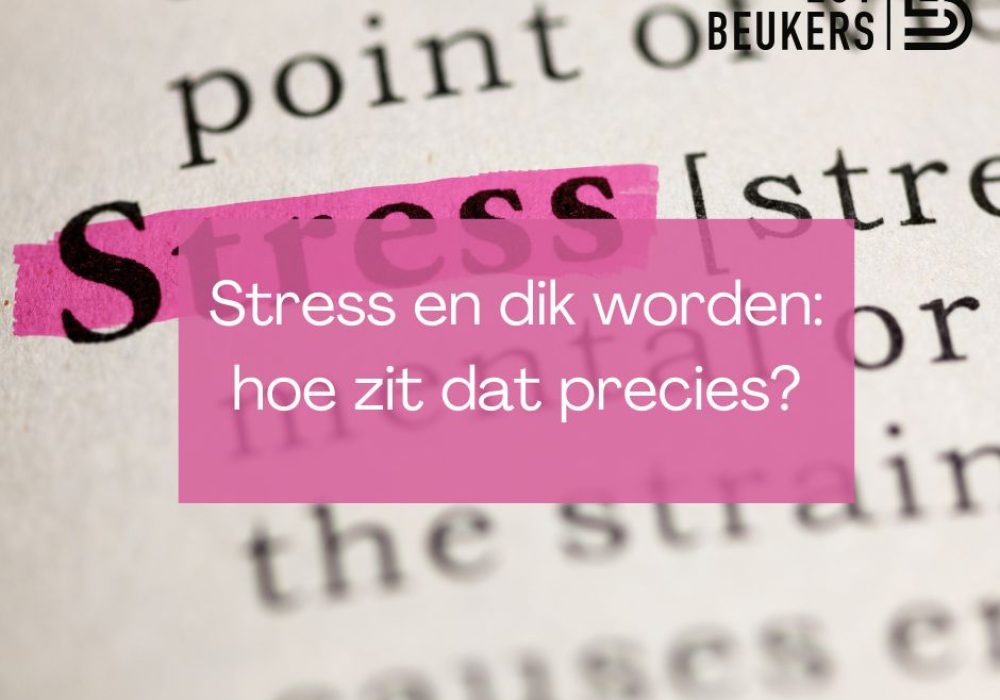 67af40e9a1e64665d2e36b00_stress-en-dik-worden