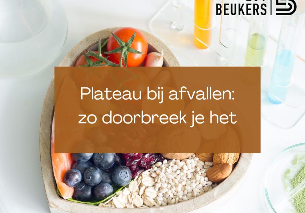 67dd77ae93e1967c092c27fe_plateau-bij-afvallen