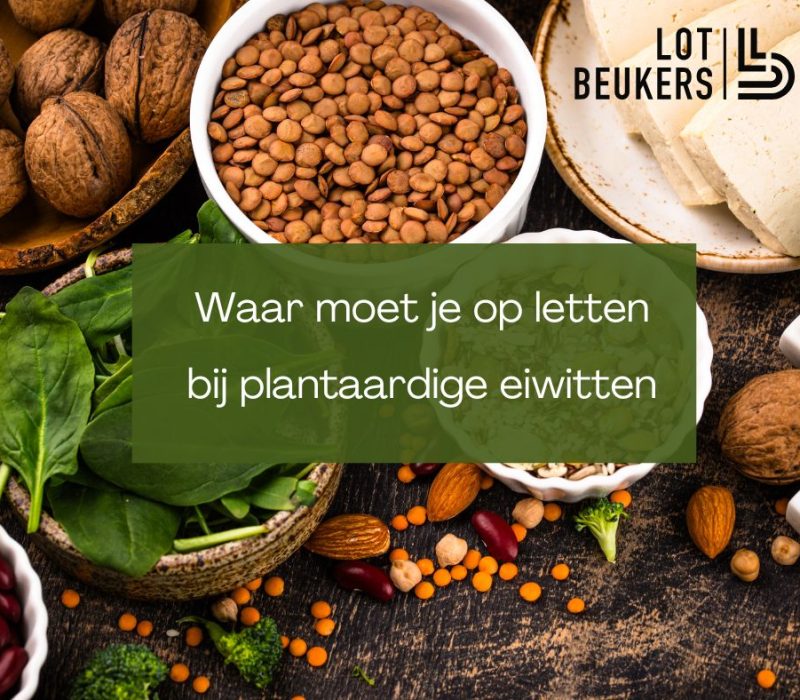 Waar moet je op letten bij plantaardige eiwitten