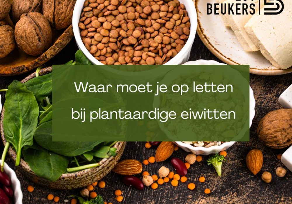 Waar moet je op letten bij plantaardige eiwitten
